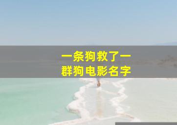 一条狗救了一群狗电影名字