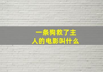 一条狗救了主人的电影叫什么