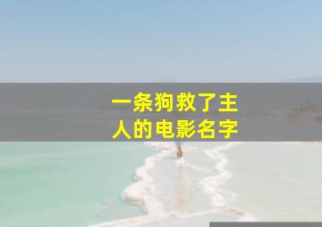 一条狗救了主人的电影名字