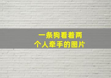 一条狗看着两个人牵手的图片