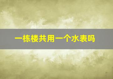 一栋楼共用一个水表吗