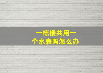 一栋楼共用一个水表吗怎么办