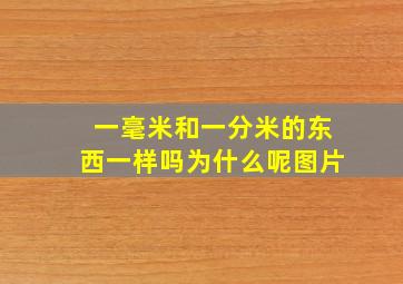 一毫米和一分米的东西一样吗为什么呢图片