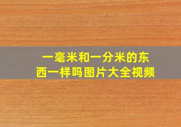 一毫米和一分米的东西一样吗图片大全视频