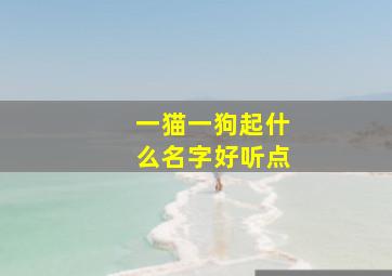 一猫一狗起什么名字好听点