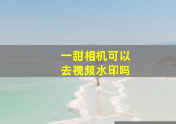 一甜相机可以去视频水印吗