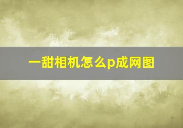 一甜相机怎么p成网图