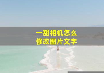 一甜相机怎么修改图片文字