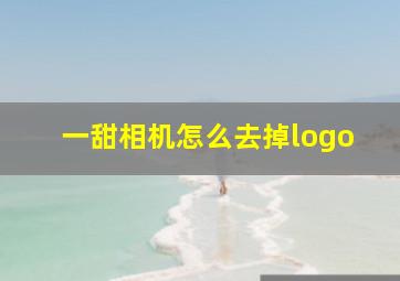 一甜相机怎么去掉logo