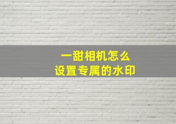 一甜相机怎么设置专属的水印