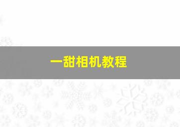 一甜相机教程