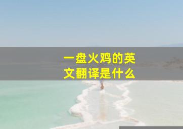 一盘火鸡的英文翻译是什么