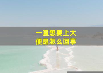 一直想要上大便是怎么回事