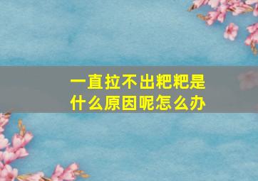 一直拉不出粑粑是什么原因呢怎么办