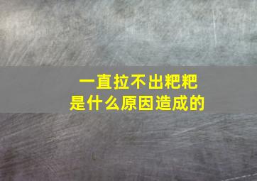 一直拉不出粑粑是什么原因造成的