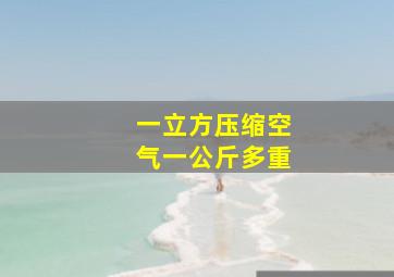 一立方压缩空气一公斤多重