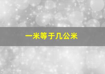 一米等于几公米