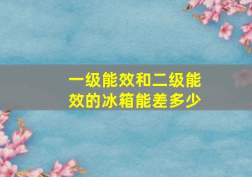 一级能效和二级能效的冰箱能差多少