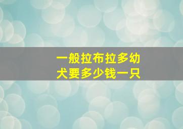 一般拉布拉多幼犬要多少钱一只