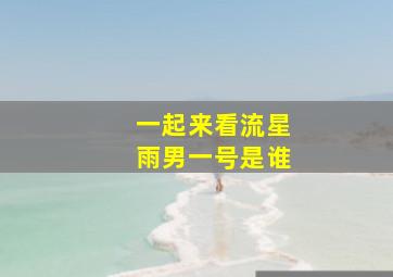 一起来看流星雨男一号是谁