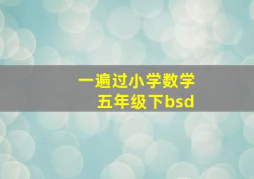 一遍过小学数学五年级下bsd