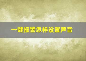 一键报警怎样设置声音