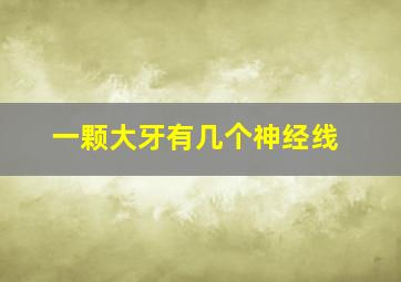 一颗大牙有几个神经线