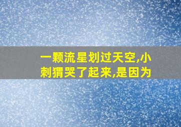 一颗流星划过天空,小刺猬哭了起来,是因为