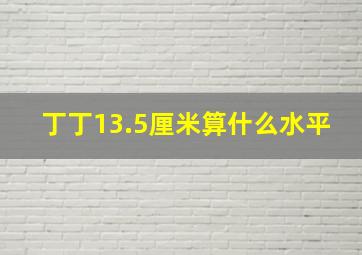 丁丁13.5厘米算什么水平