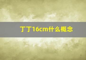 丁丁16cm什么概念