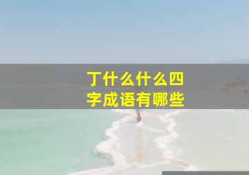 丁什么什么四字成语有哪些