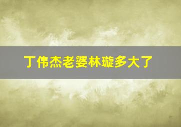 丁伟杰老婆林璇多大了