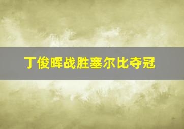 丁俊晖战胜塞尔比夺冠