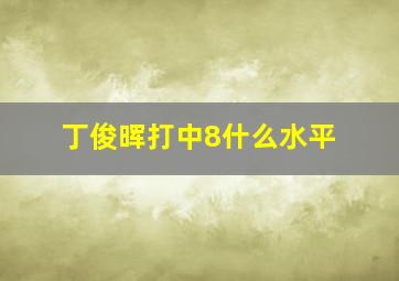 丁俊晖打中8什么水平