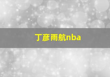 丁彦雨航nba