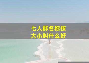 七人群名称按大小叫什么好