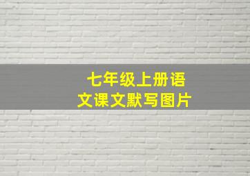 七年级上册语文课文默写图片