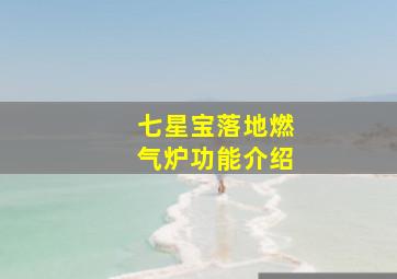 七星宝落地燃气炉功能介绍