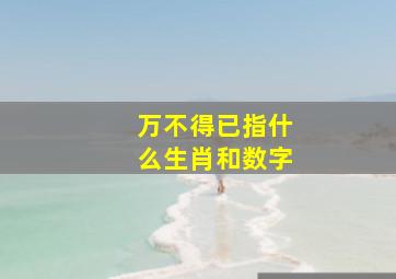 万不得已指什么生肖和数字