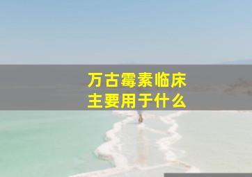 万古霉素临床主要用于什么