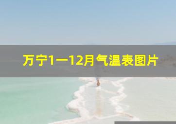 万宁1一12月气温表图片