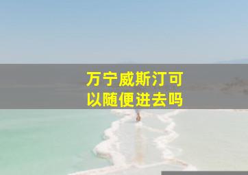 万宁威斯汀可以随便进去吗