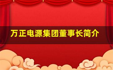 万正电源集团董事长简介