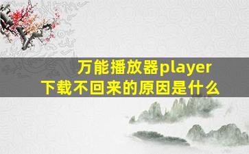 万能播放器player下载不回来的原因是什么