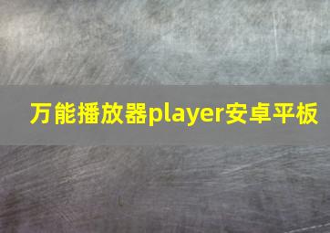 万能播放器player安卓平板