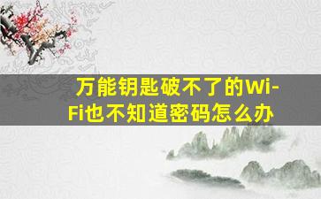 万能钥匙破不了的Wi-Fi也不知道密码怎么办