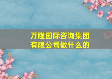 万隆国际咨询集团有限公司做什么的