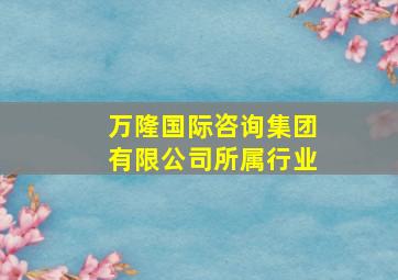 万隆国际咨询集团有限公司所属行业