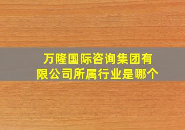 万隆国际咨询集团有限公司所属行业是哪个