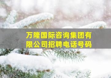 万隆国际咨询集团有限公司招聘电话号码